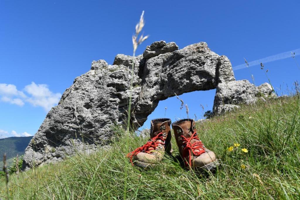 Bienvenue Dans Le Chartreuse 2 A 6 Couchages Apartman Cholonge Kültér fotó